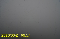 Img20260621_095717.jpg