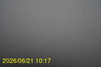 Img20260621_101717.jpg