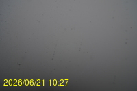 Img20260621_102717.jpg