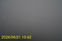 Img20260621_104218.jpg