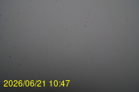 Img20260621_104718.jpg