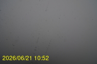 Img20260621_105218.jpg