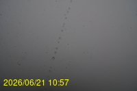 Img20260621_105718.jpg