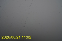 Img20260621_110218.jpg