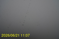Img20260621_110718.jpg