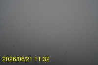 Img20260621_113218.jpg