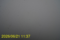 Img20260621_113718.jpg