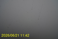 Img20260621_114218.jpg