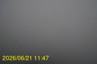 Img20260621_114718.jpg