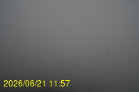 Img20260621_115718.jpg