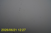 Img20260621_122718.jpg
