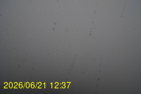 Img20260621_123718.jpg