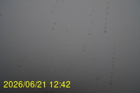 Img20260621_124218.jpg