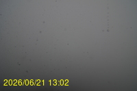 Img20260621_130218.jpg