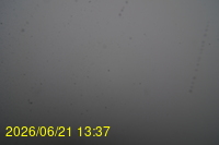Img20260621_133718.jpg