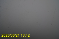 Img20260621_134218.jpg
