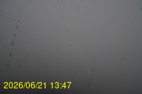 Img20260621_134718.jpg