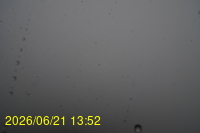 Img20260621_135218.jpg