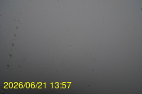 Img20260621_135718.jpg