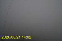 Img20260621_140218.jpg
