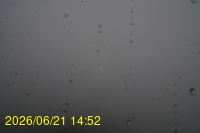Img20260621_145218.jpg