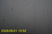 Img20260621_155219.jpg