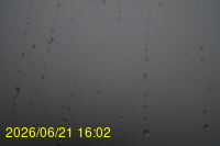 Img20260621_160219.jpg