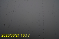 Img20260621_161719.jpg