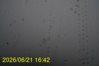 Img20260621_164219.jpg