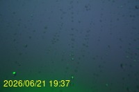 Img20260621_193720.jpg