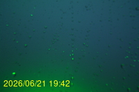 Img20260621_194220.jpg