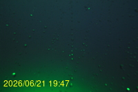 Img20260621_194719.jpg