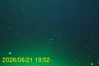 Img20260621_195220.jpg