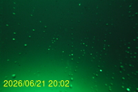 Img20260621_200220.jpg