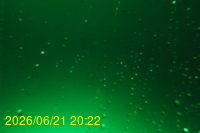 Img20260621_202220.jpg