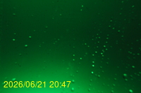 Img20260621_204720.jpg