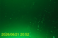Img20260621_205220.jpg