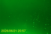 Img20260621_205720.jpg