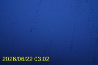 Img20260622_030221.jpg