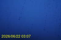 Img20260622_030721.jpg
