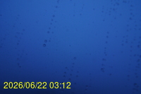 Img20260622_031221.jpg