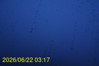 Img20260622_031721.jpg