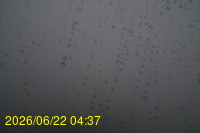 Img20260622_043721.jpg