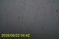 Img20260622_044221.jpg