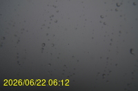 Img20260622_061222.jpg