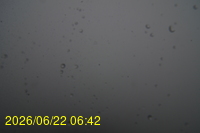 Img20260622_064222.jpg