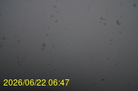 Img20260622_064722.jpg