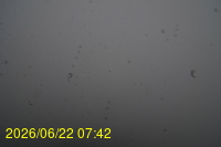 Img20260622_074222.jpg
