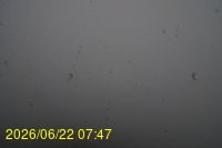 Img20260622_074722.jpg