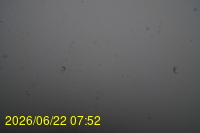 Img20260622_075222.jpg